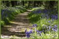 Chemin d'avril